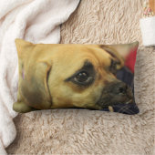 Puggleの枕 ランバークッション (ブランケット)