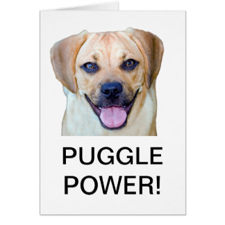 Puggle力!