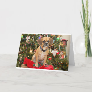 Puggle シーズンカード
