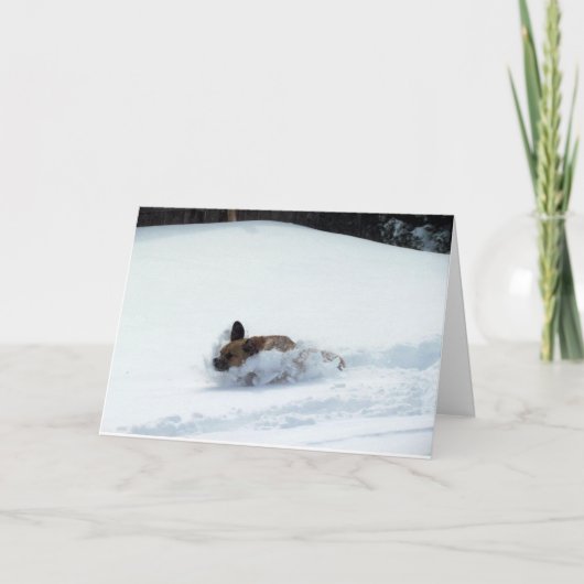 Puggle! 休日カード シーズンカード (正面)