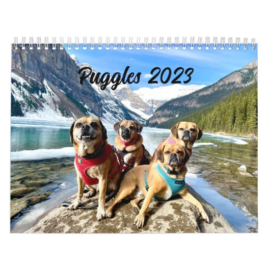 Puggle 2023カレンダー カレンダー (カバー)