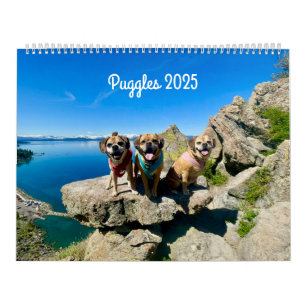 Puggle 2025カレンダー カレンダー