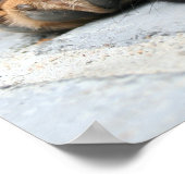 puggle puppy ポスター (角)