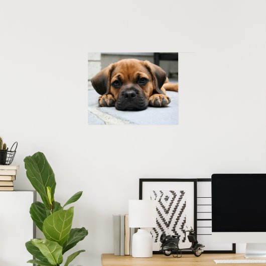 puggle puppy ポスター (ホームオフィス)