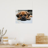 puggle puppy ポスター (キッチン)