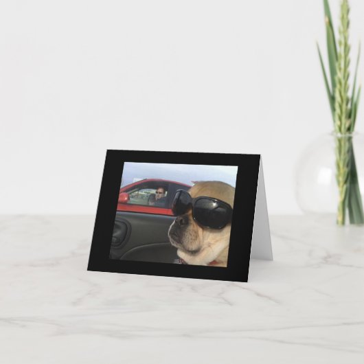 Pugglesの挨拶状 カード (正面)