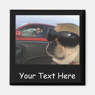 Pugglesの磁石 マグネット