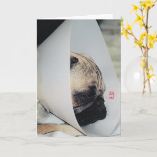 Puggy Get Well Greeting Card カード (黄色い花)