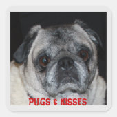 Pugsおよびキスステッカー スクエアシール (正面)