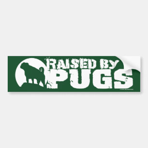 PUGSグリーンバンパーステッカーで上げる バンパーステッカー