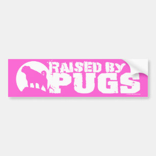 PUGSピンクバンパーステッカーで上げる バンパーステッカー