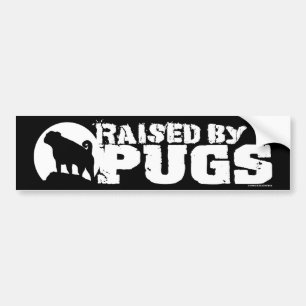PUGSブラックバンパーステッカーで上げる バンパーステッカー