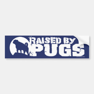 PUGSブルーバンパーステッカーで上げる バンパーステッカー