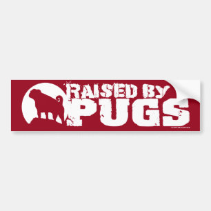 PUGS赤バンパーステッカーで上げる バンパーステッカー
