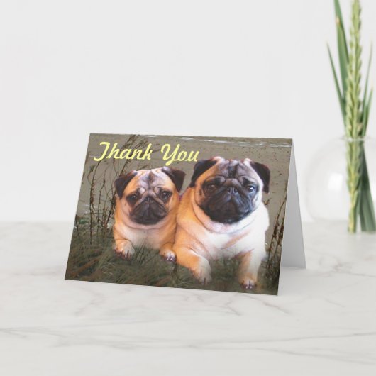 Pugs and Kisses Thank You Card サンキューカード (正面)
