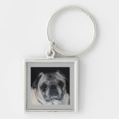 Pugs & Keychainキス キーホルダー (正面)