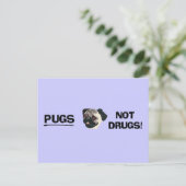 Pugs Not Drugsはがき ポストカード (スタンド正面)