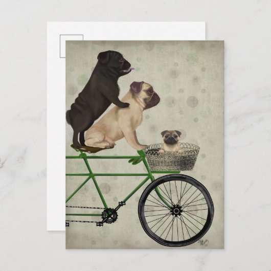 Pugs on Bicycle ポストカード (正面/裏面)