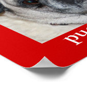 Pugs & Poster ポスター (角)