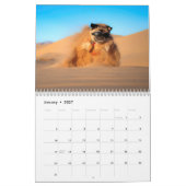 Pugventureの写真2019年: Expugdition カレンダー (1月 2027)