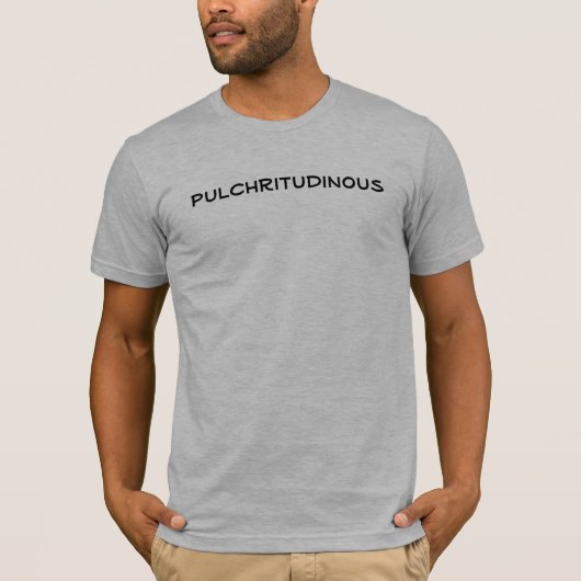 pulchritudinous tシャツ (正面)