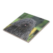 Puliかわいい犬 タイル (側面)