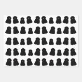 Puliラッピング紙シート ラッピングペーパーシート (正面2)