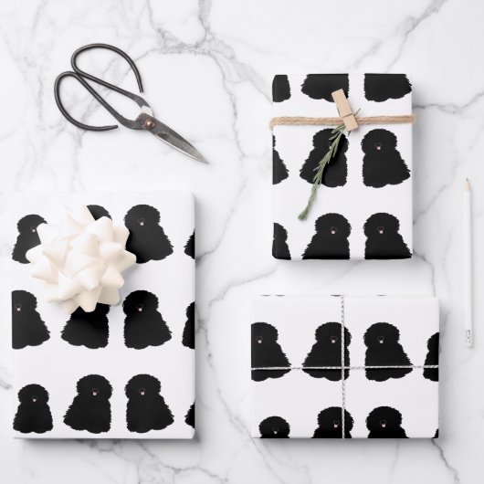 Puliラッピング紙シート ラッピングペーパーシート (正面)