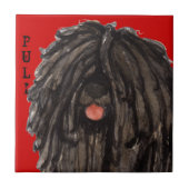 Puli色のブロック タイル (正面)