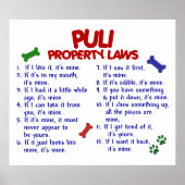 PULI PL2 ポスター (正面)