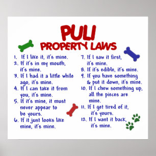 PULI PL2 ポスター