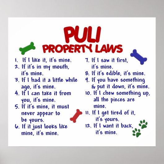 PULI PL2 ポスター (正面)