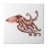 Pulpo - Octopus vulgaris タイル (正面)