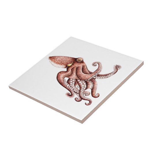 Pulpo - Octopus vulgaris タイル (側面)