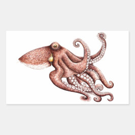 Pulpo - Octopus vulgaris 長方形シール