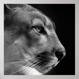 Pumaポスター ポスター