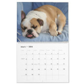 Pumbaa カレンダー (3月 2026)