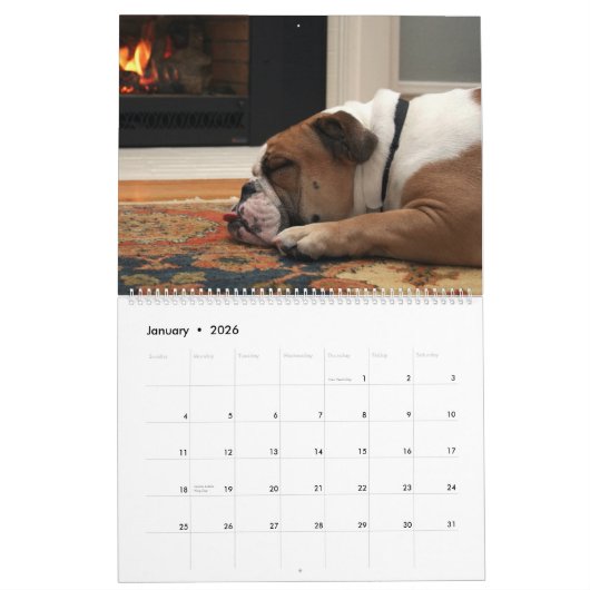 Pumbaa カレンダー (1月 2026)