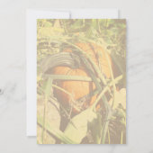 Pumpkin On The Vine Fall Nature 招待状 (裏面)