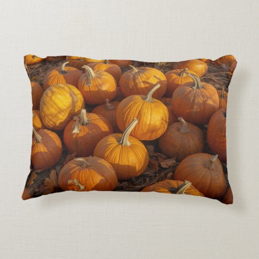 Pumpkin Patch Accent Pillow アクセントクッション (裏面)