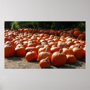 Pumpkin Patch Autumn Harvest Photography ポスター