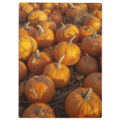 Pumpkin Patch Clipboard クリップボード (裏面)