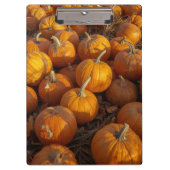 Pumpkin Patch Clipboard クリップボード (正面)