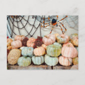 Pumpkin Patch Magic Postcard ポストカード (正面)