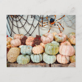 Pumpkin Patch Magic Postcard ポストカード