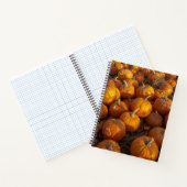 Pumpkin Patch Notebook ノートブック (内部)