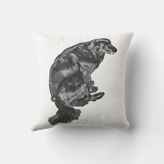 Pumpkin-Quiet Corner — Retriever クッション (裏面)