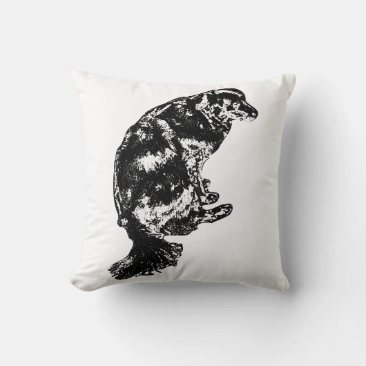 Pumpkin-Shadow Calm — Retriever クッション (正面)