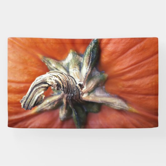 Pumpkin Spiral  横断幕 (横)