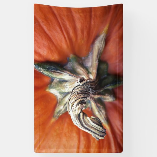 Pumpkin Spiral  横断幕 (縦)